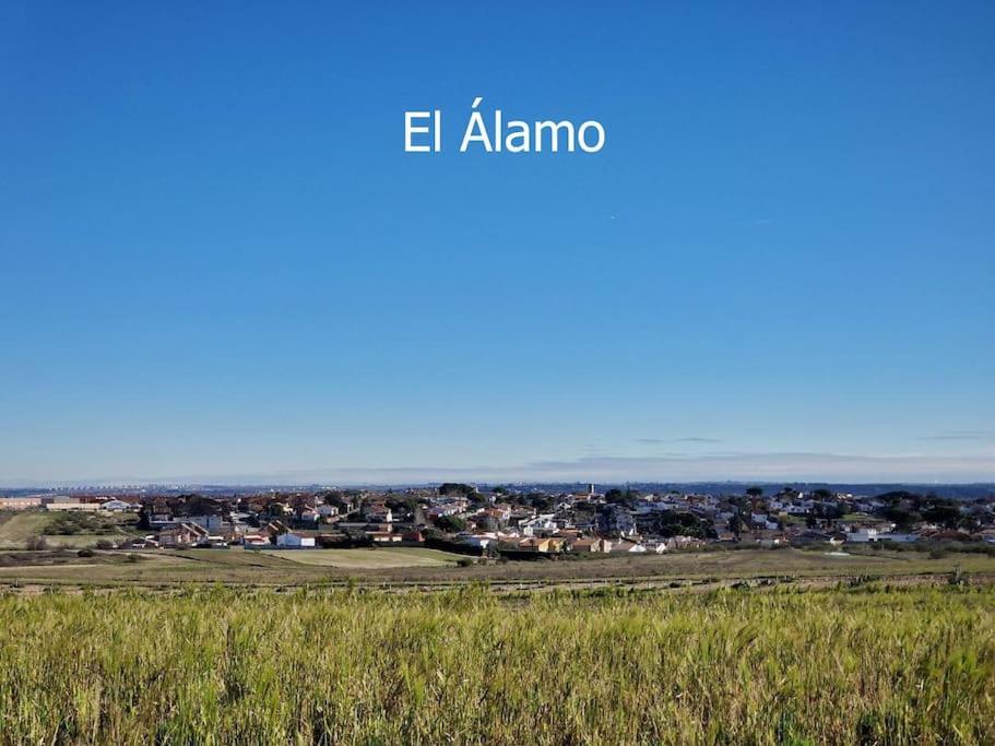 Primera Planta Completa, El Álamo Exteriör bild